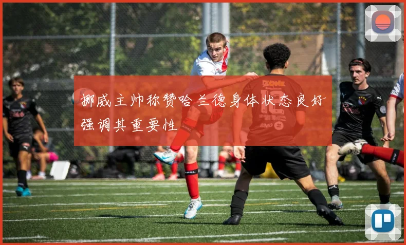 挪威主帅称赞哈兰德身体状态良好强调其重要性